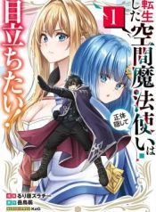 The Reincarnated Dimensional Mage Wants to Stand out While Keeping His Identity Hidden